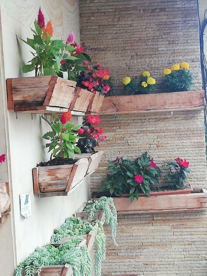 Hostal Casa Paraiso Медельин Экстерьер фото
